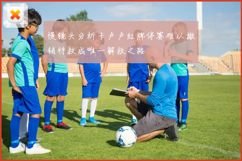 慢镜头分析卡卢卢红牌停赛难以撤销特赦成唯一解救之路